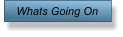 Whats Going On